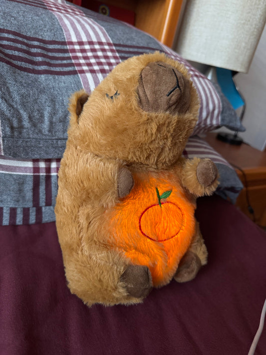 - Anna C⭐️⭐️⭐️⭐️⭐️