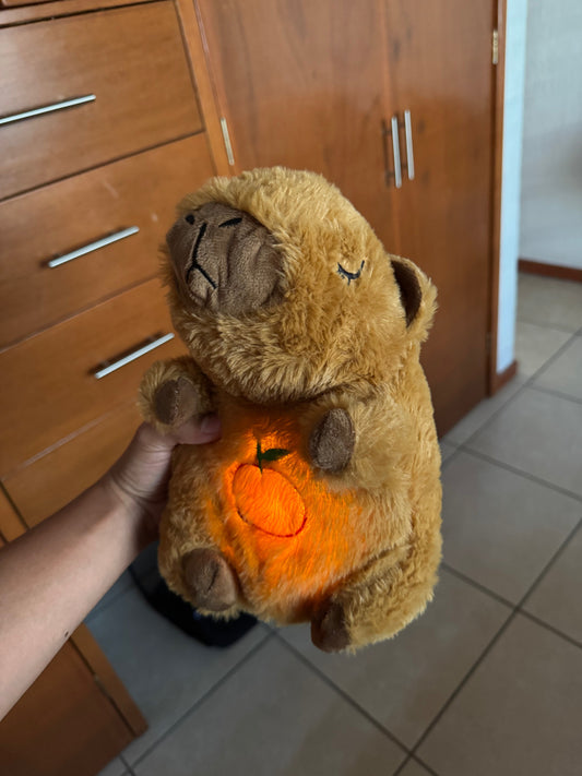 - Gabriel A ⭐️⭐️⭐️⭐️⭐️